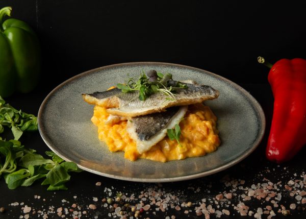 File de dorada / Gilt-head bream fillet